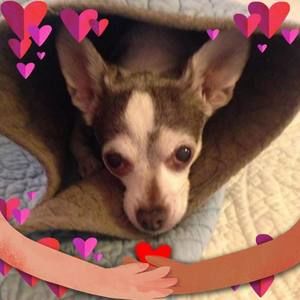 Meet your Posher, Candy jo